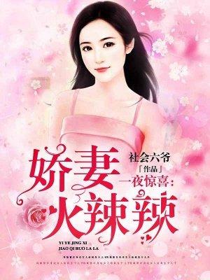 一夜惊喜闪婚